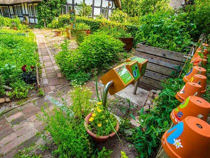 Ein insektenfreundlicher Garten in Syke