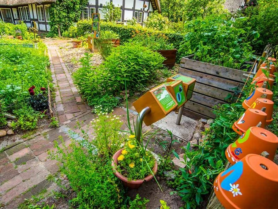 Ein insektenfreundlicher Garten in Syke