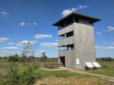 Ein Aussichtsturm in Rehden