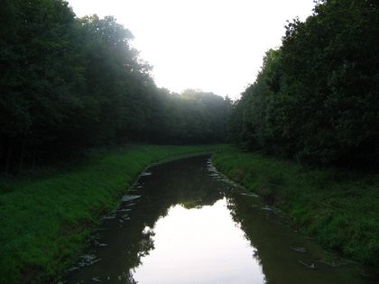 Ein Gewässer in Barnstorf
